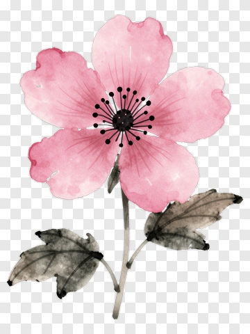 Watercolor Pink Flower With Leaves PNG