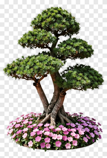 Colorful Bonsai Tree Surrounded By Pink Flowers PNG