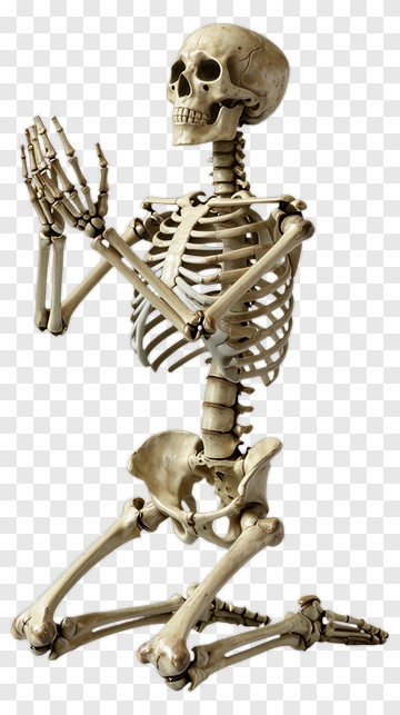 Skeleton Praying PNG