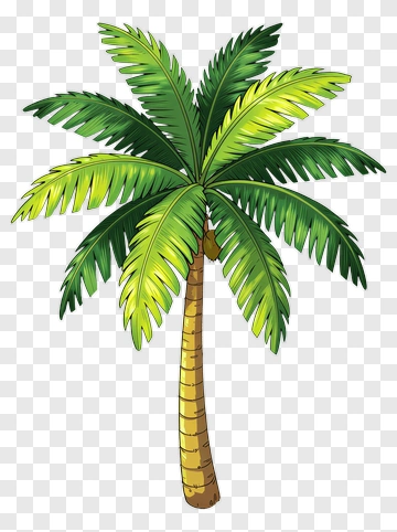 Colorful Palm Tree PNG