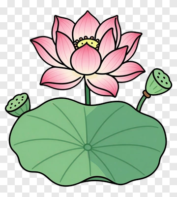 Cartoon Lotus Flower With Leaves PNG