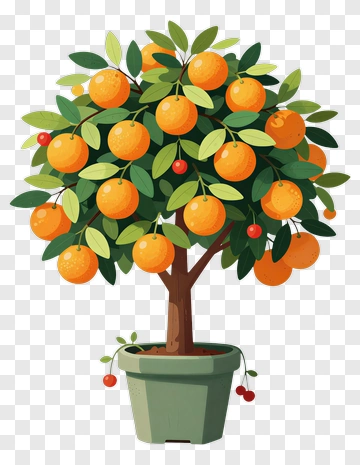Colorful Orange Tree In A Pot PNG