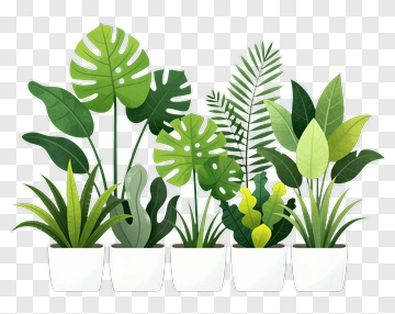 Collection Of Potted Green Plants PNG