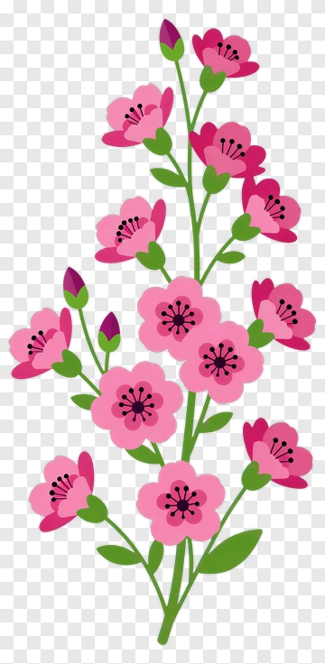 Colorful Flower Bouquet PNG