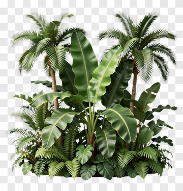 Lush Tropical Plant Composition PNG