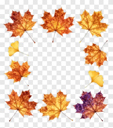 Colorful Autumn Leaves Frame PNG