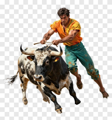 Bullfighter Engaging With A Bull PNG