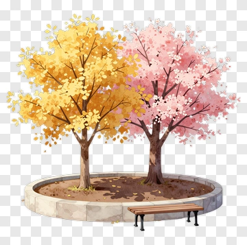 Colorful Trees In A Park PNG