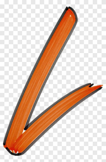 Orange Check Mark PNG