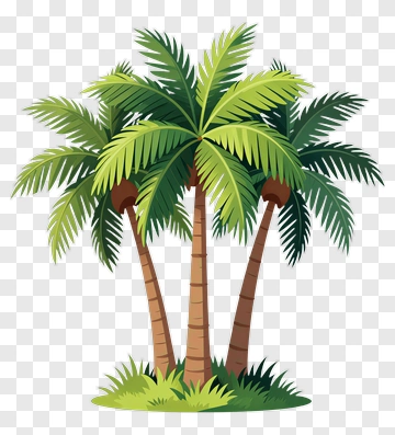 Colorful Palm Trees PNG