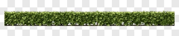 Green Hedge PNG