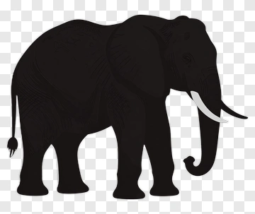 Black Elephant Silhouette PNG