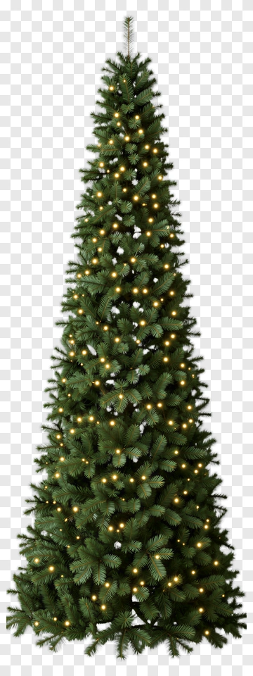 Christmas Tree With Lights PNG