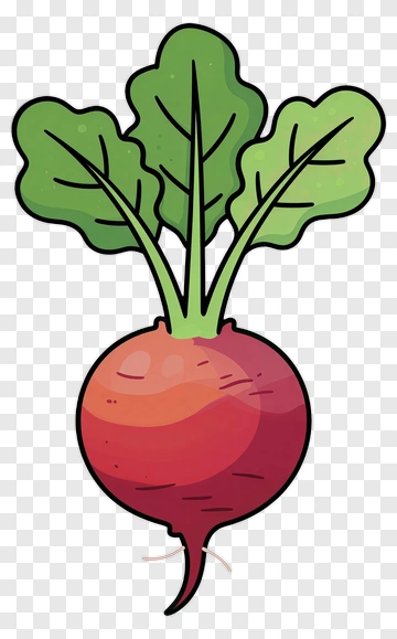 Cartoon Radish With Green Leaves PNG