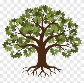 Tree With Green Leaves PNG