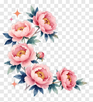 Watercolor Pink Peony Flowers Arrangement PNG