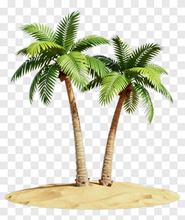 Palm Trees On A Sandy Beach PNG
