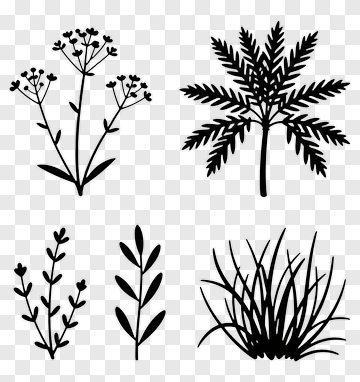 Silhouette Collection Of Various Plants PNG