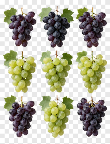 Variety Of Grapes With Green And Purple Bunches PNG