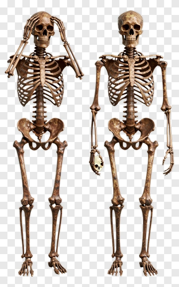 Skeletons Holding Their Heads PNG