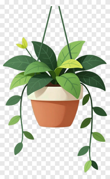 Hanging Potted Plant PNG