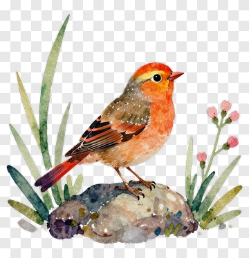 Watercolor Bird Standing On A Rock PNG