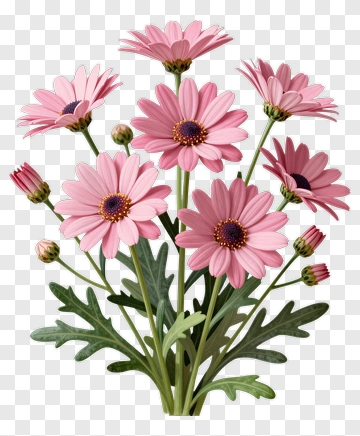 Pink Flower Bouquet PNG