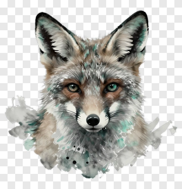 Realistic Fox Portrait PNG