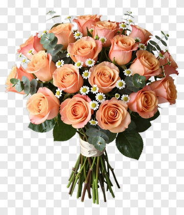 Peach Rose Bouquet With White Daisies PNG