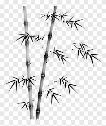 Black And White Bamboo Stalks With Leaves PNG