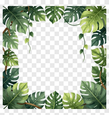 Tropical Leaf Frame PNG