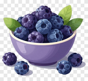 Purple Bowl Of Blackberries PNG