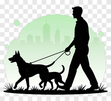 Man Walking Two Dogs In A City Park PNG