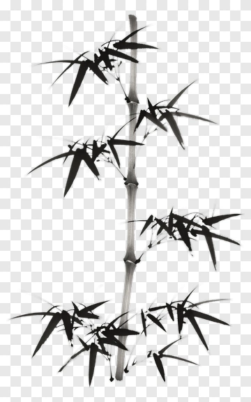 Black Bamboo Plant PNG