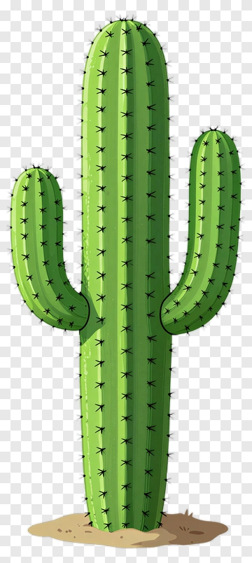 Green Cactus PNG
