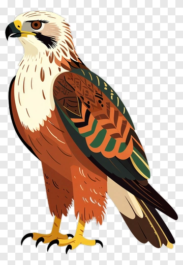 Colorful Hawk Illustration PNG