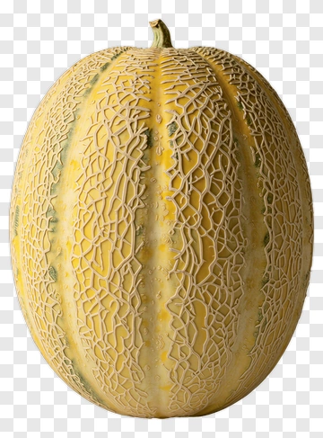 Melon With Textured Skin PNG