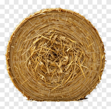 Hay Bale PNG