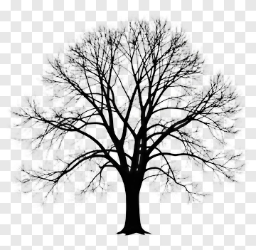 Silhouette Tree PNG