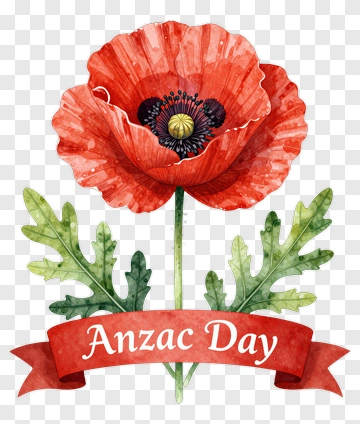 Red Poppy Flower With Anzac Day Banner PNG