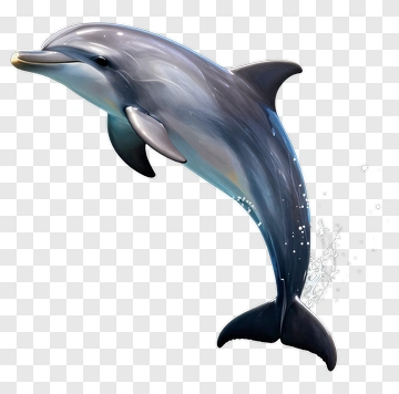 Realistic Dolphin Jumping Out Of Water PNG
