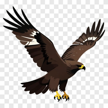 Cartoon Eagle In Flight PNG