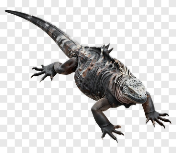 3D Marine Iguana PNG