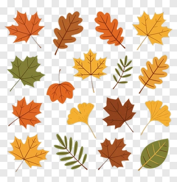 Colorful Collection Of Autumn Leaves PNG