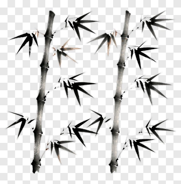 Black Bamboo Stalks With Leaves PNG