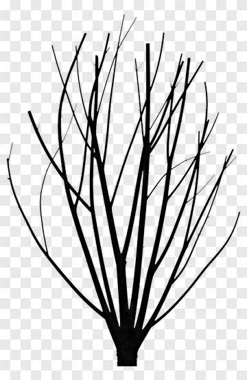 Silhouette Tree With Bare Branches PNG