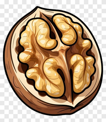 Cartoon Walnut In Shell PNG