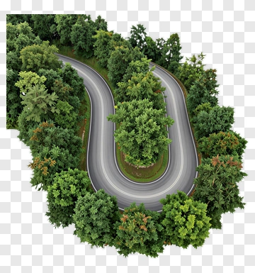 Winding Road Surrounded By Lush Green Trees PNG