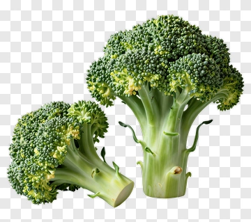 Fresh Broccoli Bunch PNG