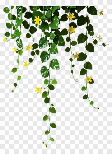 Green Vines With Yellow Flowers PNG